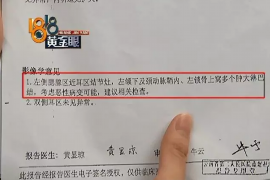 无为融资清欠服务