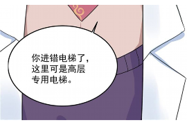 无为债务清欠服务